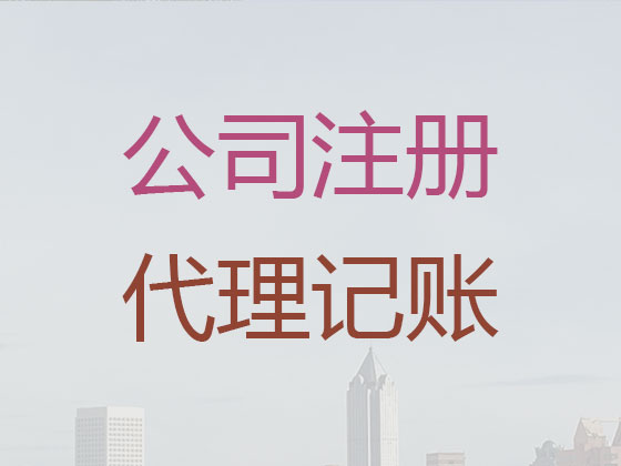 海口代记账服务|代办代理科技公司记账